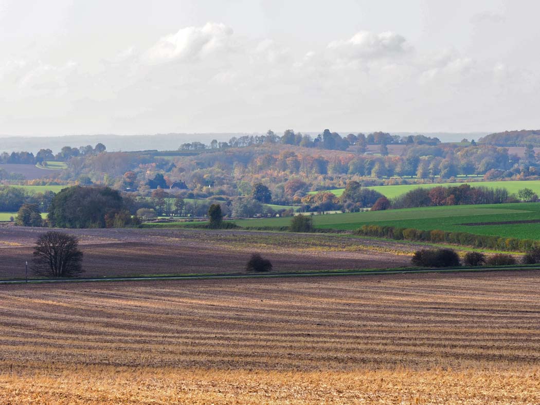Sign our petition to save Maidstone’s countryside